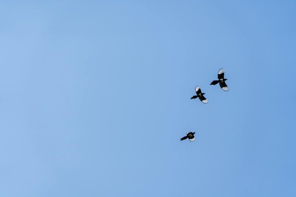 Hypertension: est-ce héréditaire ?